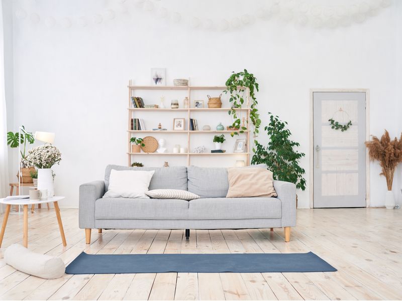 Nettoyage Particuliers Choisy-le-Roi