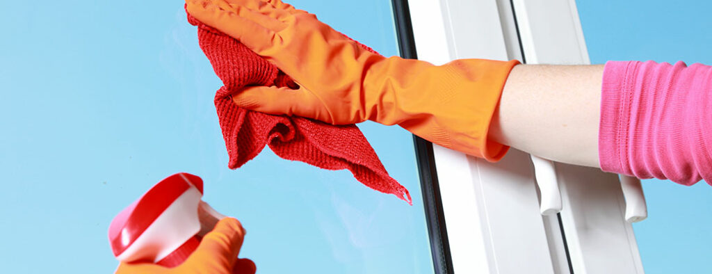 Nettoyage de vitres Choisy-le-Roi